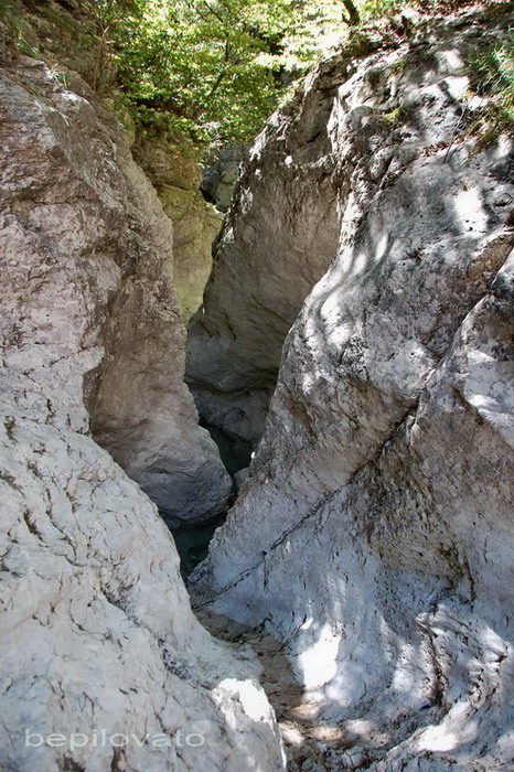 Gruppo del Cimonega, Dolomiti Bellunesi